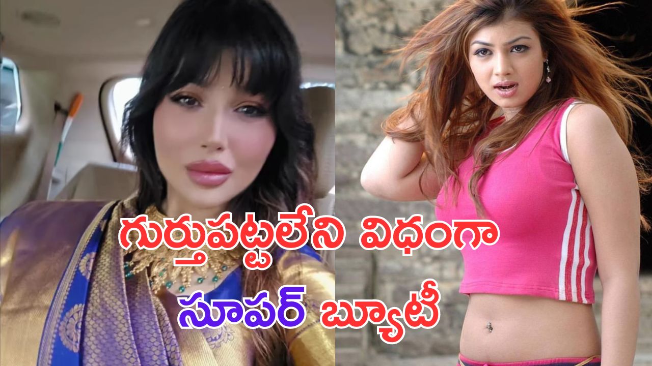 Ayesha Takia: సూపర్ బ్యూటీ గుర్తుందా.. ఇప్పుడు అస్సలు గుర్తుపట్టలేరు చూడండి