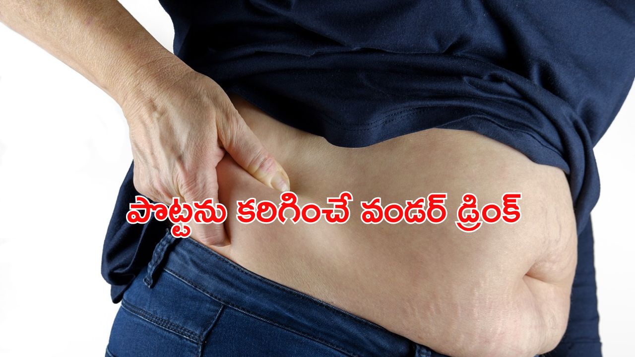 Belly Fat: పొట్ట పెరిగి ముడతలు పడ్డాయా ? ఈ పొడిని రోజా రాత్రి తీసుకుంటే మొత్తం కరిగిపోద్ది