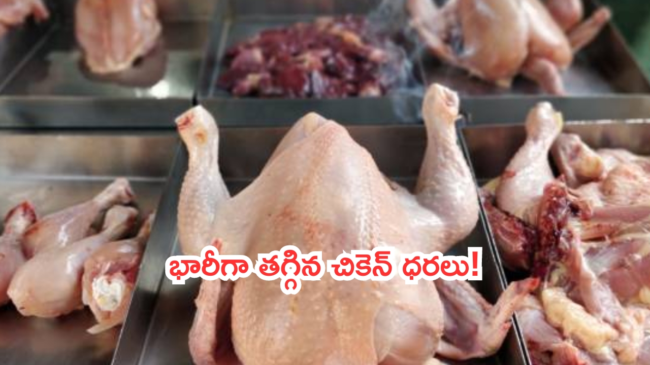 Chicken Prices: భారీగా తగ్గిన చికెన్ ధరలు..కేజీ ఎంతంటే?