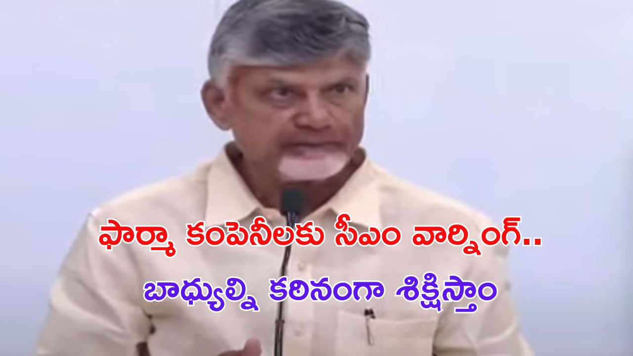 Cm Chandrababu : ప్రాణాలతో చెలగాటమా ? రెడ్ కేటగిరీ ఇండస్ట్రీలకు సీఎం చంద్రబాబు వార్నింగ్..