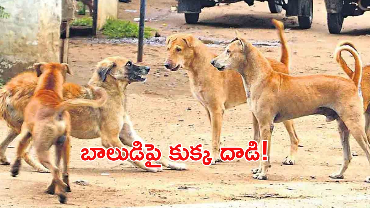 Dog Attack Cctv Footage: ఆడుకుంటున్న బాలుడిపై కుక్క దాడి..వీడియో వైరల్