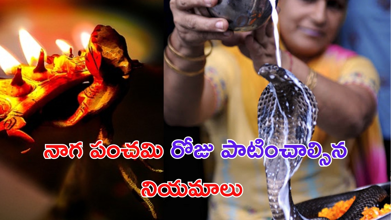 Nag Panchami 2024: నాగ పంచమి పూజ.. పాటించాల్సిన నియమాలు