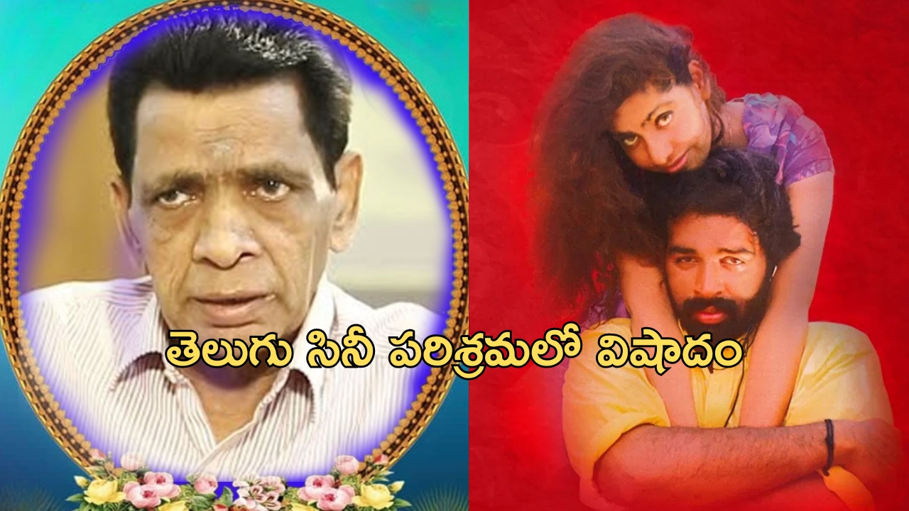 Nadiminti Narasinga Rao: సినీ పరిశ్రమలో విషాదం.. ప్రముఖ రచయిత కన్నుమూత