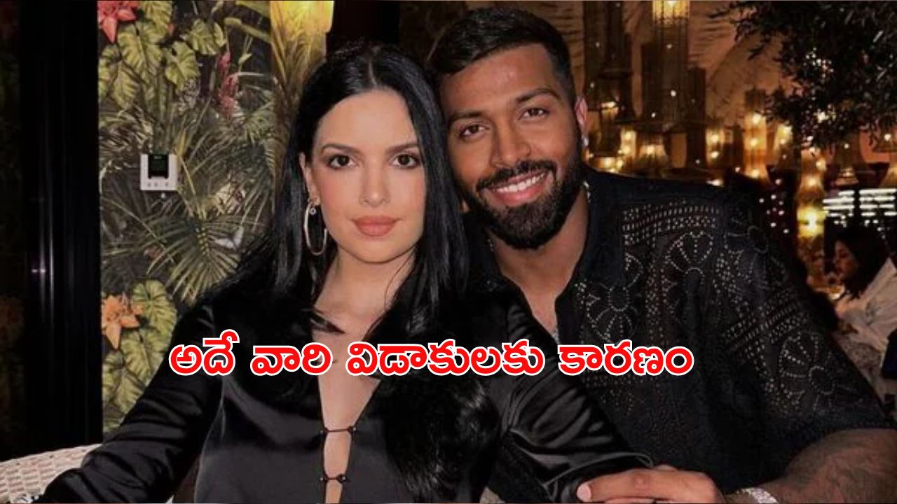 Hardik Pandya: పాండ్యా అహంకారం వల్లే విడాకులు