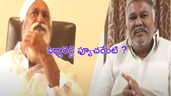 Kethireddy Peddareddy: బుసలు కొడుతోన్న ఫ్యాక్షన్ రాజకీయం.. పరేషాన్ లో పెద్దారెడ్డి