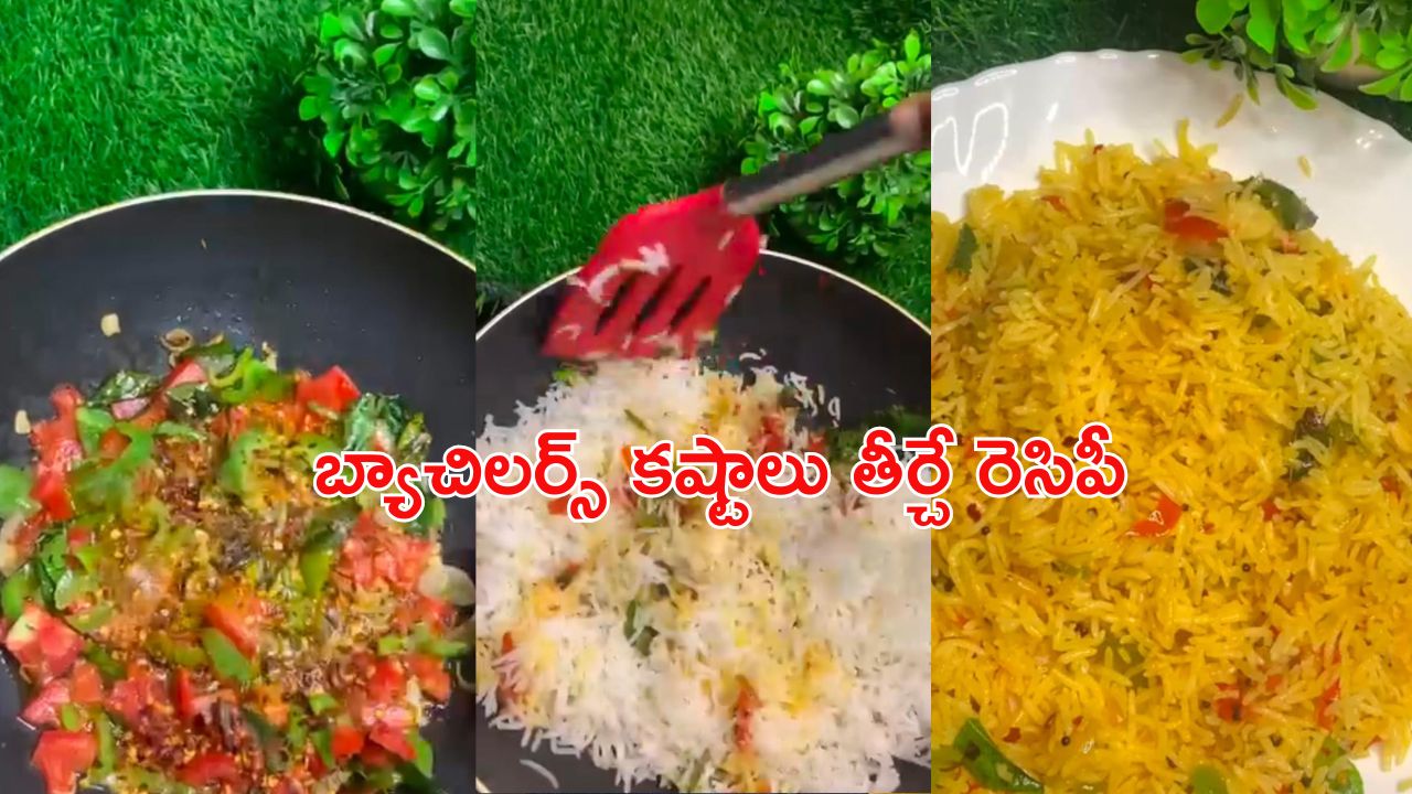 Lunchbox Recipe: బ్యాచిలర్స్ కోసం లంచ్ బాక్స్ రెసిపీ.. నిమిషాల్లో చేసుకోవచ్చు..