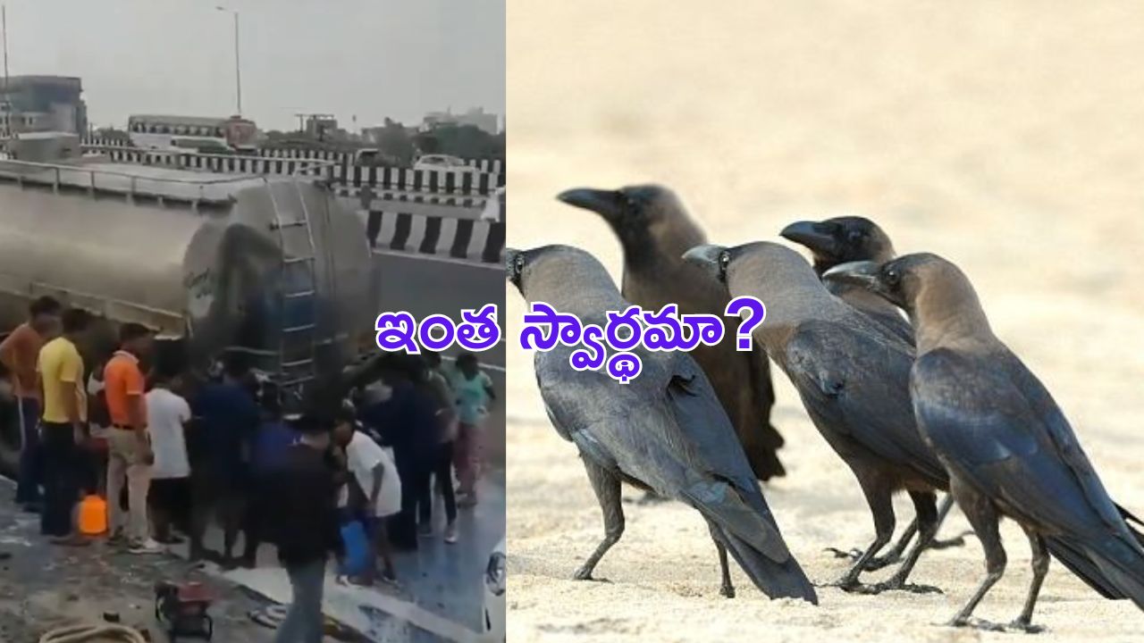 Viral Video : ఛీ..ఛీ.. ఏం మనుషులురా బాబు.. కాకులకు ఉన్నపాటి ఐకమత్యం లేకపాయే..