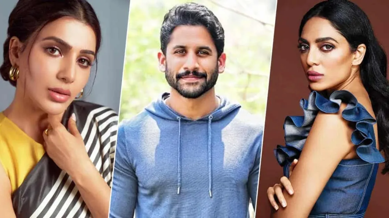 Naga Chaitanya : నాగార్జున కొడుకు నాగచైతన్య ఆస్తుల విలువ ఎంతో తెలుసా? శోభితా వల్ల కలిసొచ్చేది అంతంత మాత్రమేనా?