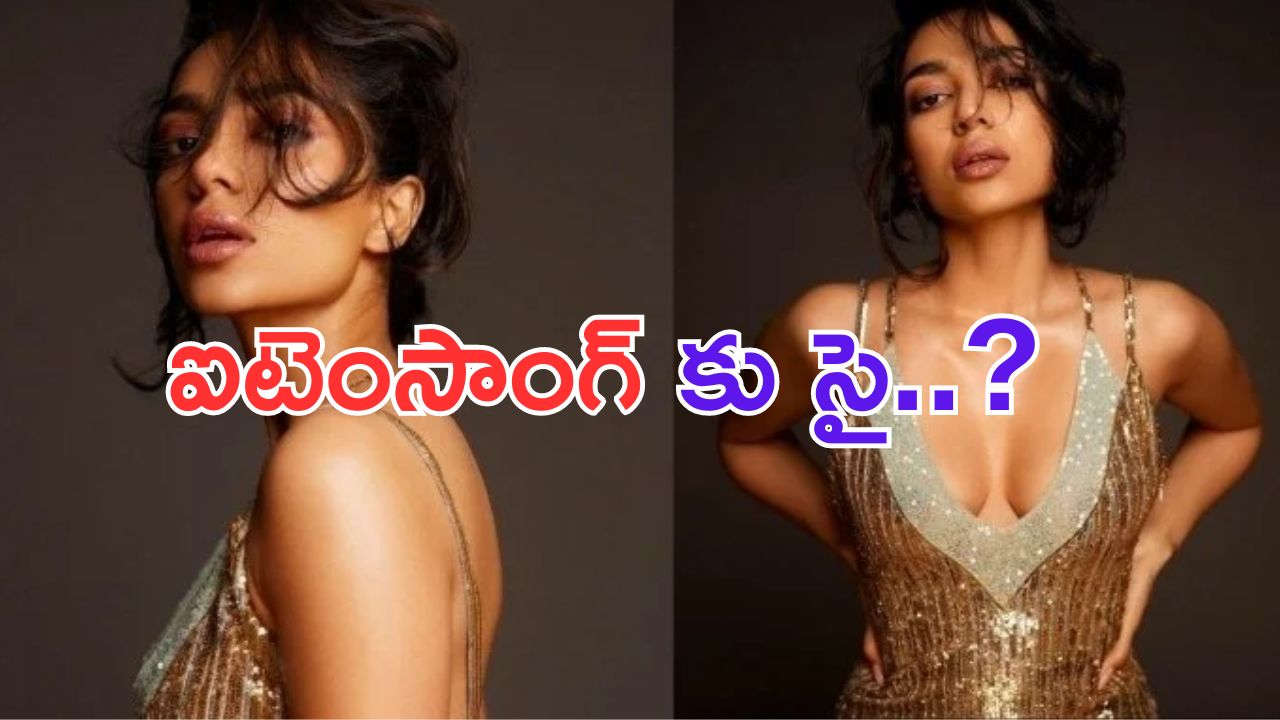 Sobita Dhulipala: అక్కినేని కోడలు.. ఐటెంసాంగ్.. ?