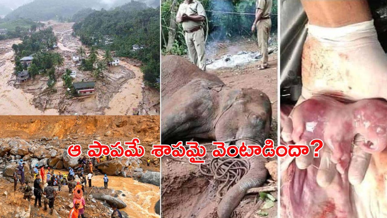 Wayanad Tragedy : వయనాడ్ ను ఆ శాపం వెంటాడిందా ? నెట్టింట జోరుగా ప్రచారం..