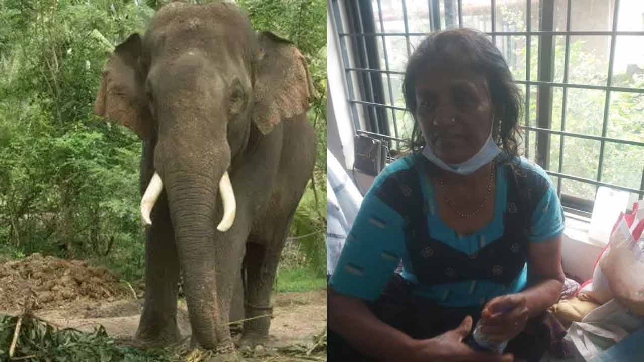 Elephant Rescues Wayanad Victims| ‘రాత్రంతా ఆ ఏనుగే మమల్ని కాపాడింది’.. వయనాడ్ బాధితురాలి వింత కథ!