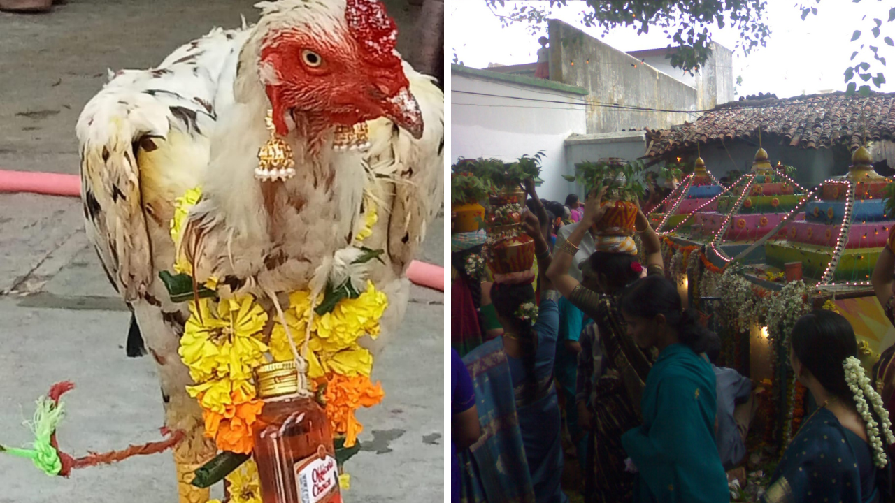 Telangana bonalu: బోనాన్ని కోడితో ప్రారంభించిన భక్తుడు, వైరల్ ఫొటోలు