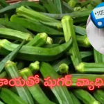 Health Tips: బెండకాయతో డయాబెటిస్‌కి చెక్‌ పెట్టండి ఇలా..!