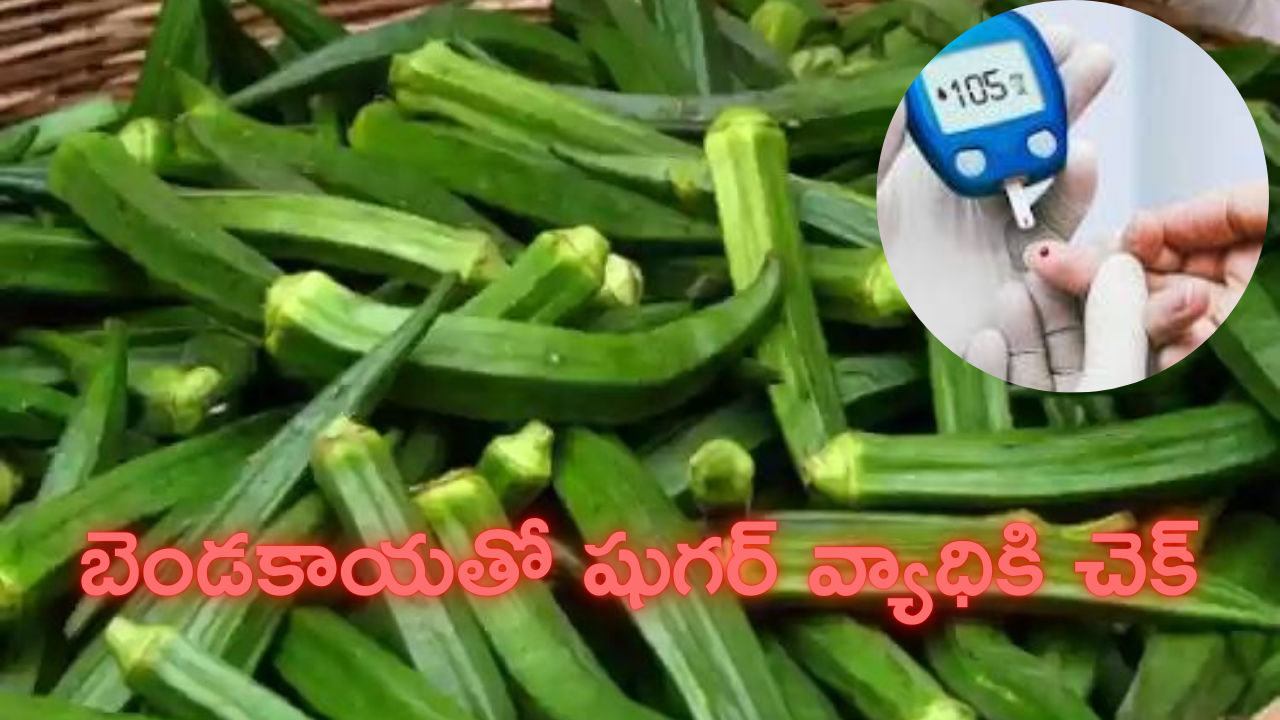 Health Tips: బెండకాయతో డయాబెటిస్‌కి చెక్‌ పెట్టండి ఇలా..!