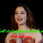 Actress Tamanna: కొత్త సిరీస్‌తో దుమ్ములేపడానికి నటి తమన్నా రెడీ