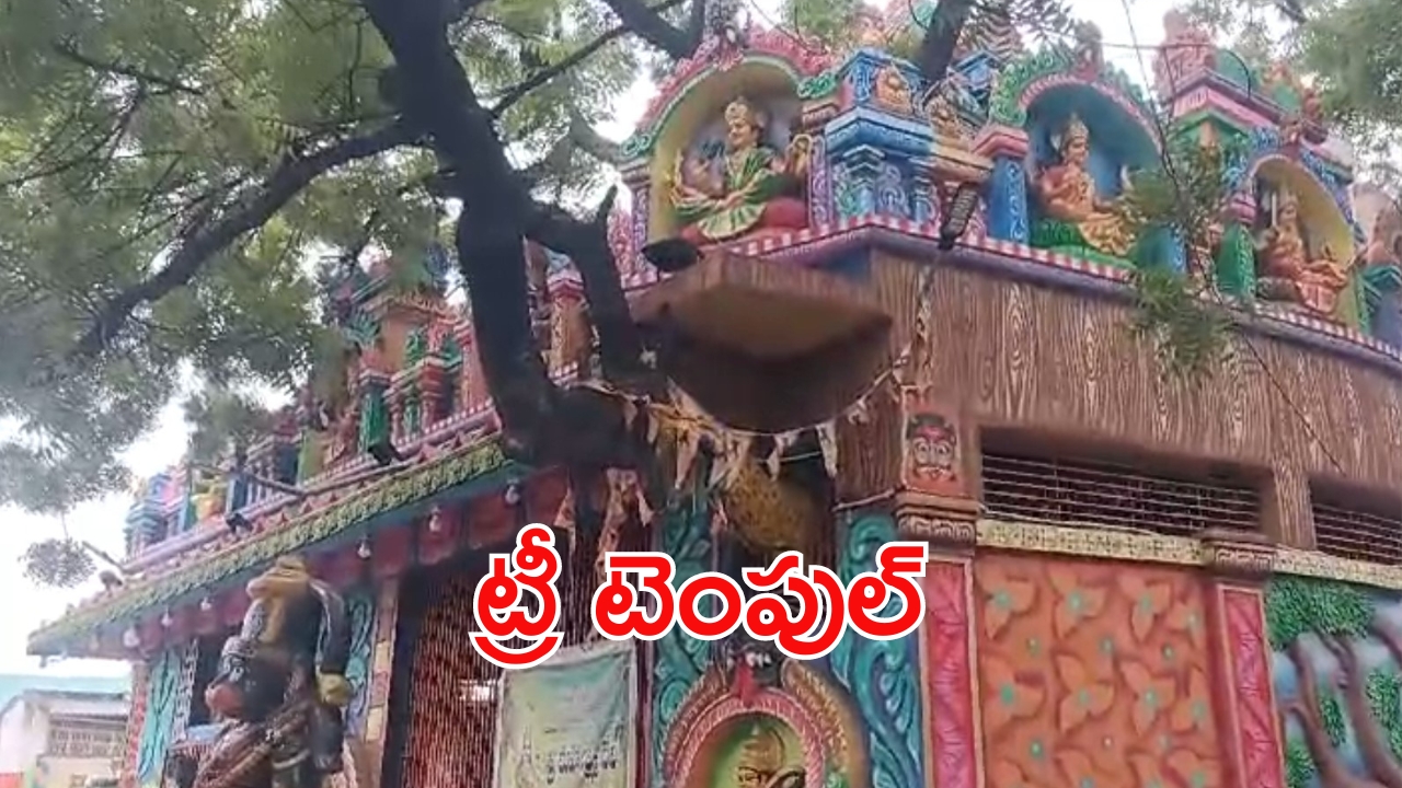 Guntur: కాపాడు తల్లీ.. మహా వృక్షమమ్మా! వేప చెట్టుకు అద్భుత దేవాలయం