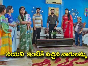 Trinayani Serial Today September 17th: ‘త్రినయని’ సీరియల్‌: నాగులమ్మను తీసుకొచ్చిన గురువుగారు – భుజంగ మణి గురించి చెప్పిన పెద్దబొట్టమ్మ