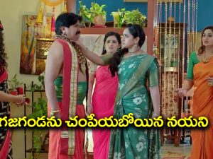 Trinayani Serial Today September 21st: ‘త్రినయని’ సీరియల్‌: డీల్ కోసం ఇంటికి వచ్చిన గజగండ – గజగండను చంపే ప్రయత్నం చేసిన గాయత్రిదేవి, నయని