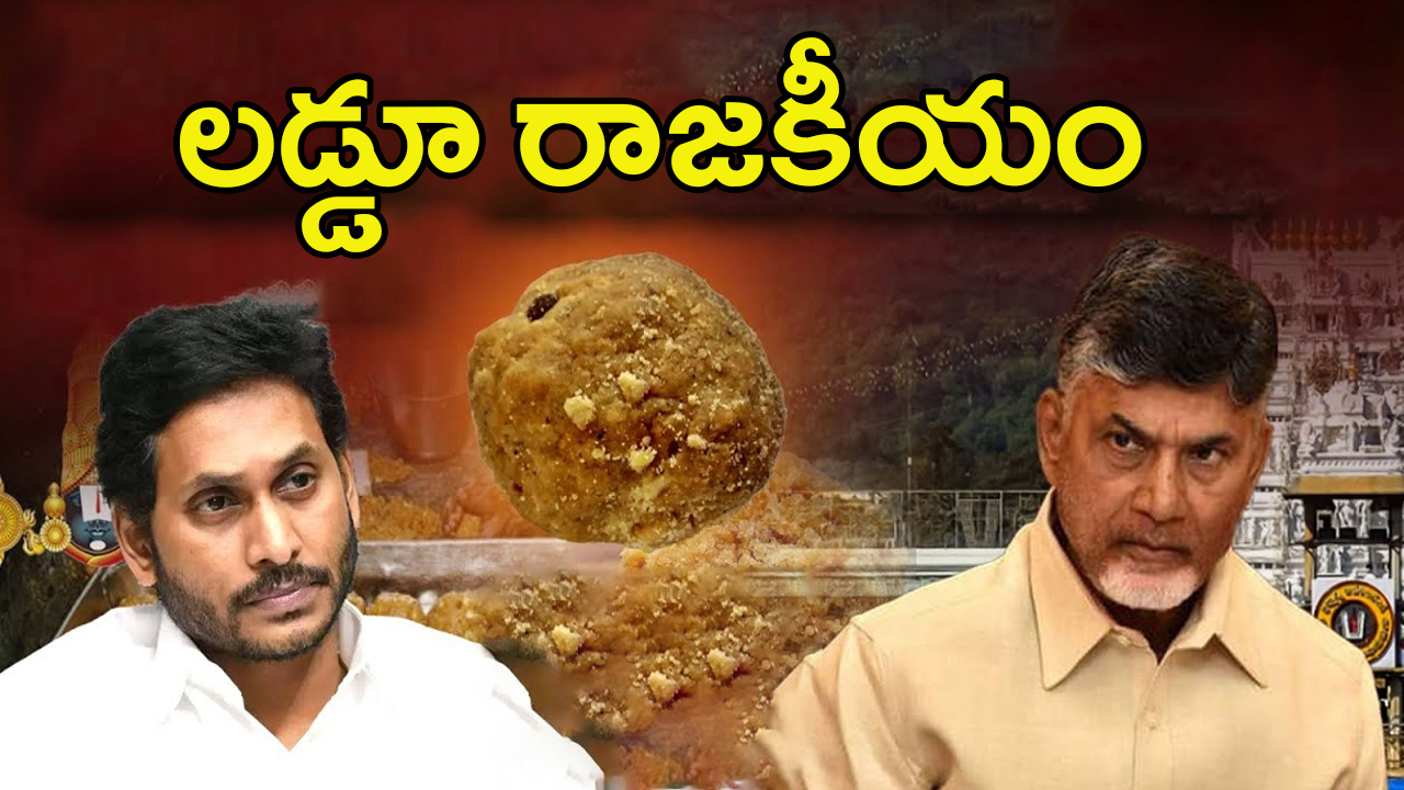 Tirumala Laddu Politics: లడ్డూ కాంట్రవర్సీ.. దేవదేవుడి ప్రసాదంపైనే ఇన్ని రాజకీయాలా ?