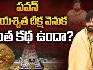 DY CM Pawan Kalyan: పవన్ ప్రాయశ్చిత దీక్షవెనుక ఇంత కథ ఉందా ?