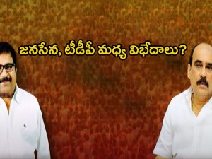 Balineni Vs Damacharla: బాలినేని చిచ్చు.. జనసేన, టీడీపీ మధ్య విభేదాలు?