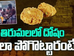 Tirupati Laddu Sanctity Restored: తిరుమలలో దోషం ఎలా పోగొట్టారంటే..