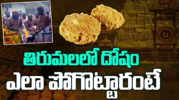 Tirupati Laddu Sanctity Restored: తిరుమలలో దోషం ఎలా పోగొట్టారంటే..