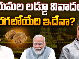 Tirumala Laddu Controversy: తిరుమల లడ్డూ వివాదం.. జరగబోయేది ఇదేనా?