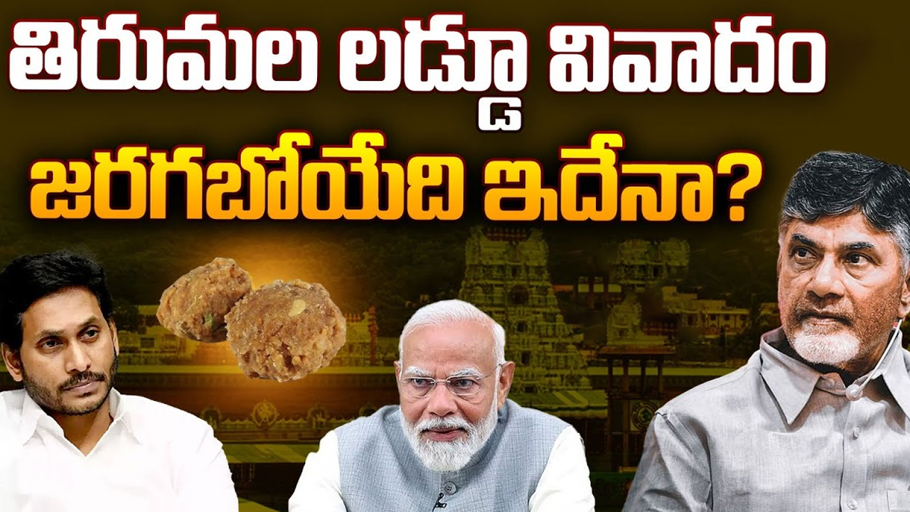 Tirumala Laddu Controversy: తిరుమల లడ్డూ వివాదం.. జరగబోయేది ఇదేనా?