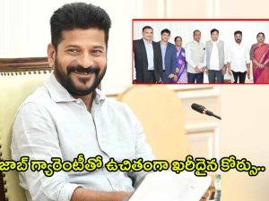 CM Revanth Reddy: జాబ్‌ గ్యారెంటీతో ఉచితంగా ఖరీదైన కోర్సు.. రేవంత్ కీలక నిర్ణయం