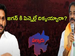 YS Jagan: పిన్నెల్లే దిక్కయ్యారా?.. జగన్ వ్యూహమేంటి?