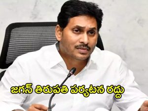 YS Jagan Press Meet: పక్కదారి పట్టించేందుకే డిక్లరేషన్.. కావాలనే అడ్డుకున్నారు.. జగన్ కామెంట్స్