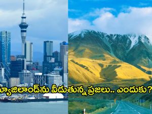 New Zealand: న్యూజిలాండ్‌ను వీడుతున్న ప్రజలు.. అదోగతిలో అందాల దీవి, అసలు ఏమైంది?