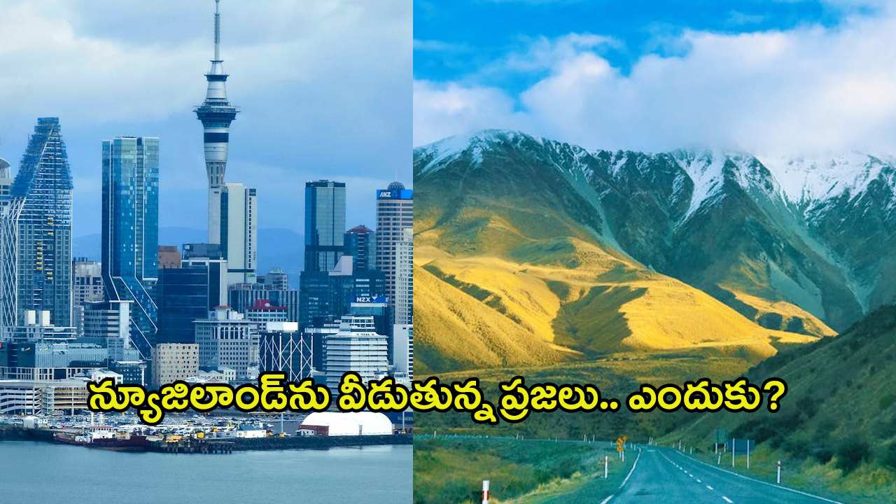 New Zealand: న్యూజిలాండ్‌ను వీడుతున్న ప్రజలు.. అదోగతిలో అందాల దీవి, అసలు ఏమైంది?