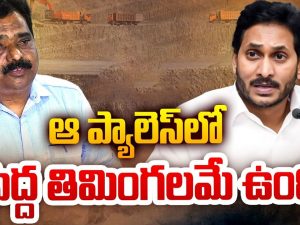 Venkat Reddy: ఆ ప్యాలెస్ లోపెద్ద తిమింగలమే ఉంది