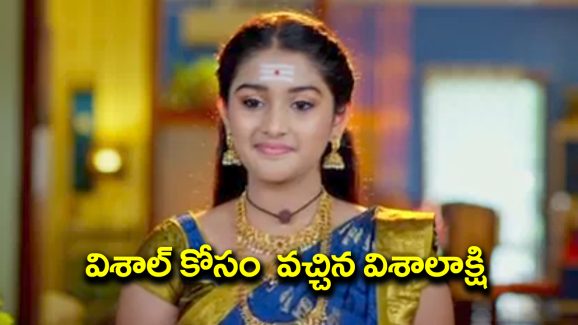 Trinayani Serial Today Episode: విశాల్‌ కోసం వచ్చిన విశాలాక్షి – భుజంగమణి కోసం సుమన ప్లాన్‌