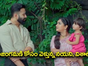 Trinayani Serial Today September 24th: ‘త్రినయని’ సీరియల్‌: అడవిలో స్పృహ కోల్పోయిన విశాల్‌ – నయనికి దారి చూపించిన కావులమ్మ