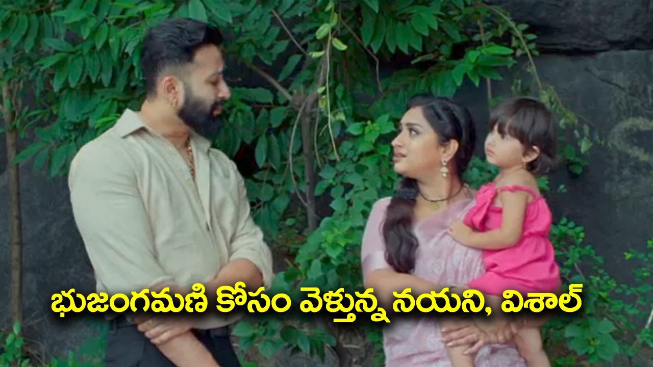 Trinayani Serial Today September 24th: ‘త్రినయని’ సీరియల్‌: అడవిలో స్పృహ కోల్పోయిన విశాల్‌ – నయనికి దారి చూపించిన కావులమ్మ