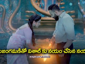 Trinayani Serial Today September 27th: ‘త్రినయని’ సీరియల్‌: న్యూలుక్‌ లో ఎంట్రీ ఇచ్చిన విశాల్‌ – గజగండ గురించి భయపడ్డ తిలొత్తమ్మ