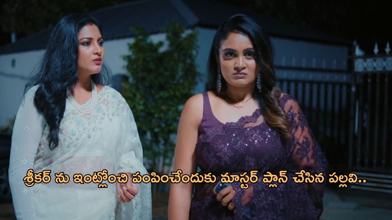 Intinti Ramayanam Today Episode : పల్లవి గురించి నిజం తెలుసుకున్న అవని.. ఇంట్లో నుంచి బయటకు శ్రీకర్..