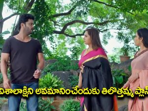 Trinayani Serial Today Episode: గాజులు దొంగిలించిన వల్లభ – తిలొత్తమ్మను ఓ ఆటాడుకున్న హాసిని