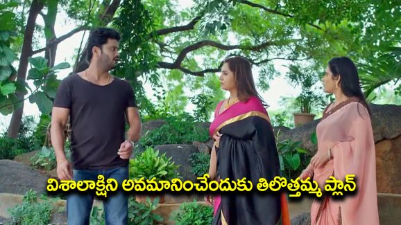 Trinayani Serial Today Episode: గాజులు దొంగిలించిన వల్లభ – తిలొత్తమ్మను ఓ ఆటాడుకున్న హాసిని