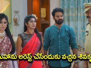 Seethe ramudi katnam Serial Today Episode: మహాకు వార్నింగ్‌ ఇచ్చిన మధు – మహాను అరెస్ట్‌ చేసేందుకు ఇంటికి వచ్చిన పోలీసులు