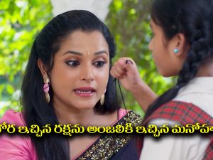 Nindu Noorella Saavasam Serial Today September 22nd: ‘నిండు నూరేళ్ల సావాసం’ సీరియల్‌: అంజుకు రక్షను ఇచ్చిన మనోహరి – మిస్సమ్మకు నిజం చెప్పిన రాథోడ్‌