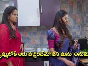 Nindu Noorella Saavasam Serial Today September 30th: ‘నిండు నూరేళ్ల సావాసం’ సీరియల్‌: మనోహరిని బయపెట్టిన అంజు – యముడి మాటలు విన్న ఆరు