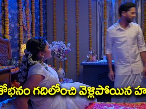 Satyabhama Serial Today September 17th: ‘సత్యభామ’ సీరియల్‌: తండ్రిని చంపేందుకు రుద్ర ప్లాన్‌ – శోభనం గదిలోంచి వెళ్లిపోయిన హర్ష