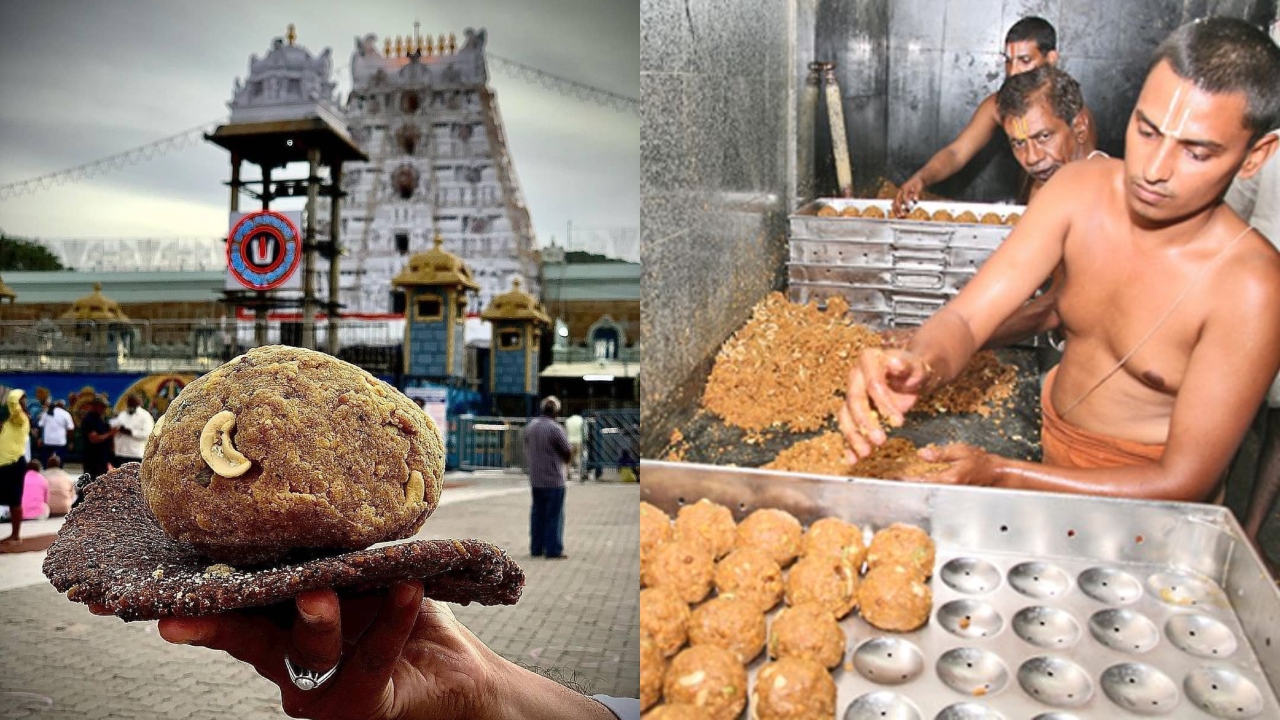 Tirumal Laddu: పవిత్ర తిరుమల లడ్డూ తయారీలో 8 మంది కీలక పాత్ర, ఇంతకీ వాళ్లు ఎవరో తెలుసా?