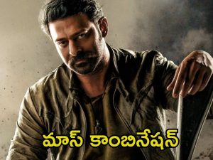 Prabhas Spirit: ఈ కాంబో కుదిరితే పూనకాలే.. ‘స్పిరిట్’లో విలన్స్‌గా ఆ బాలీవుడ్ స్టార్ కపుల్?