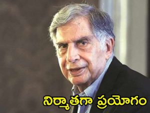 Ratan Tata: నిర్మాతగా మారిన రతన్ టాటా.. ఆయన ప్రొడ్యూస్ చేసిన ఈ సినిమా గురించి మీకు తెలుసా?