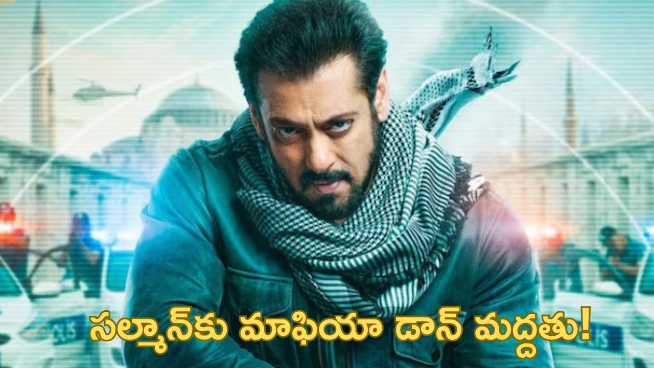 Salman Khan: సల్మాన్‌కు మాఫియా డాన్ దావూద్ మద్దతు? వాళ్లను జైల్లోనే లేపేయడానికి ప్లాన్.. మూవీస్‌ను మించి స్కెచ్!